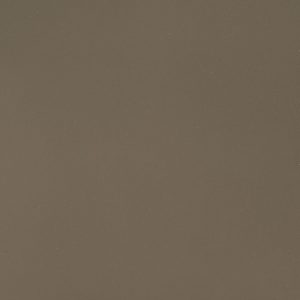 2 cm | 3 cm Fossil Brown