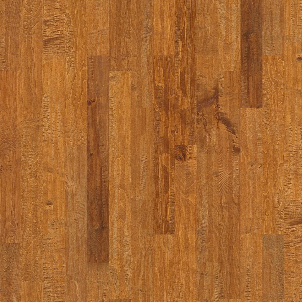 Shaw Caravan Maple 4 - Ivyland