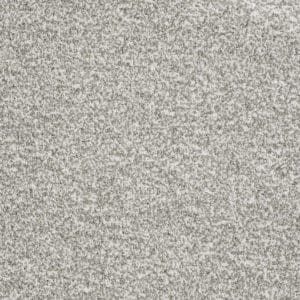 Shaw Remember Me (T) Carpet