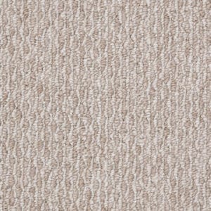 Shaw Revolution 12' Carpet